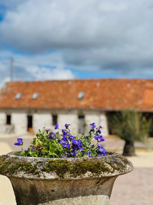 Le Chalet Des Bons Vivants Montaigu-le-Blin المظهر الخارجي الصورة